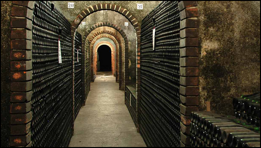 cellar